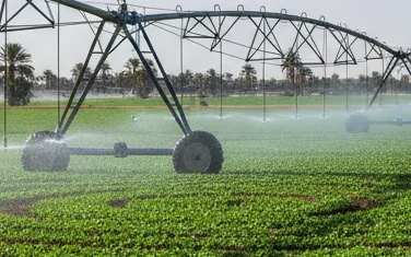 Modern SMI irrigation system watering a green agricultural field in Egypt