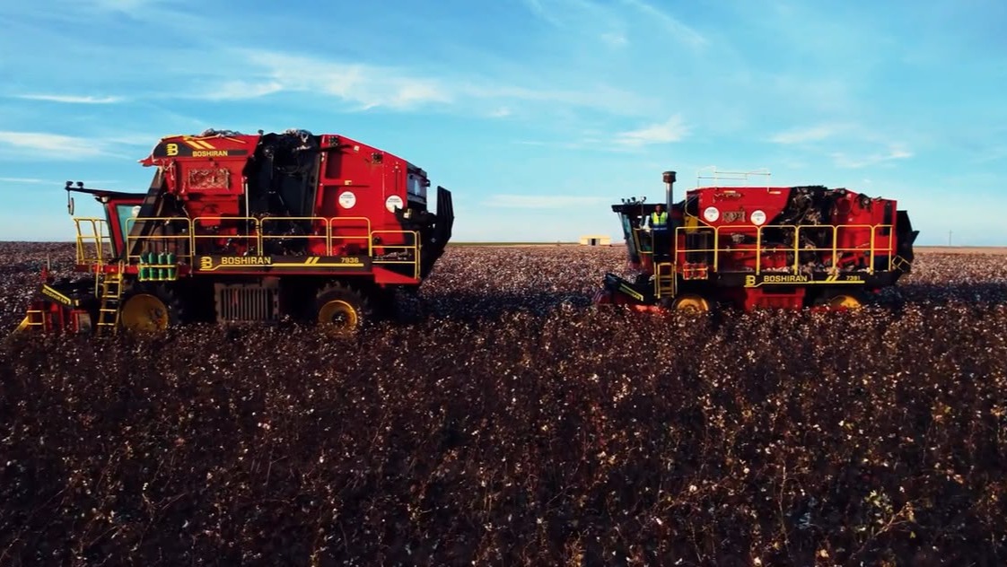 BOSHIRAN cotton harvester working in a cotton field in Egypt